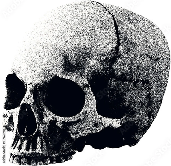 Fototapeta Сlipping from a black and white vintage magazine elements, halftone scull.