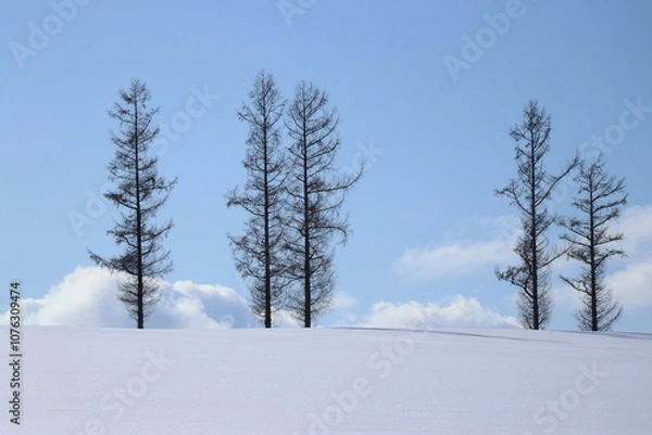 Obraz 훗카이도의 겨울