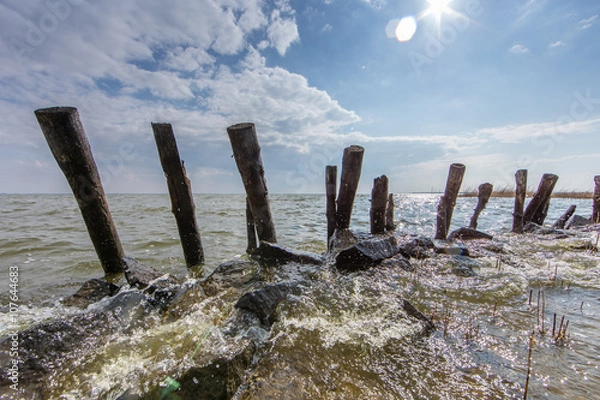 Obraz boddenufer bei born