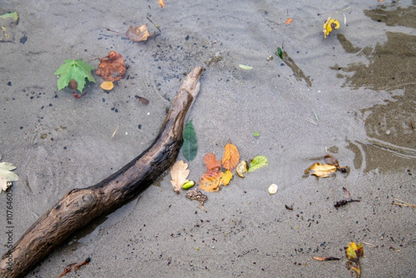 Obraz Herbstlaub im Wasser