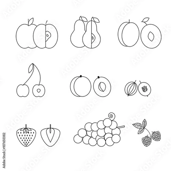 Fototapeta Fruit icons, thin line style, flat design