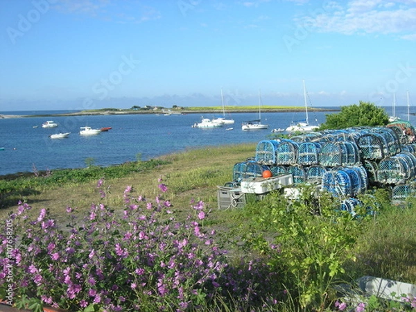 Obraz OLYMPUS DIGITAL CAMERA