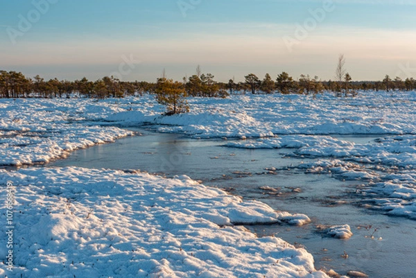 Fototapeta swamp on a sunny winter day with snow