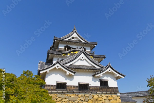 Fototapeta 彦根城