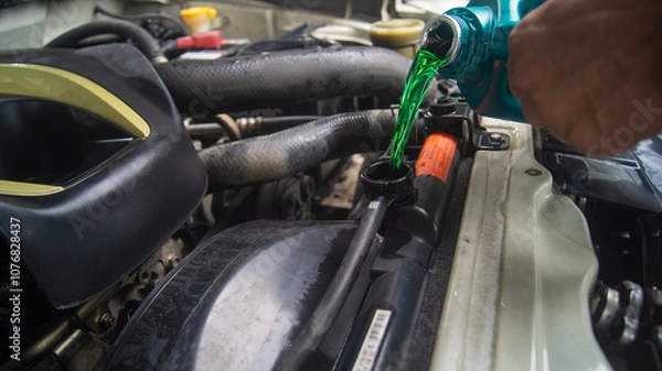 Obraz Radiator coolant poured in by a pickup truck mechanic. Change fluid in car machinery