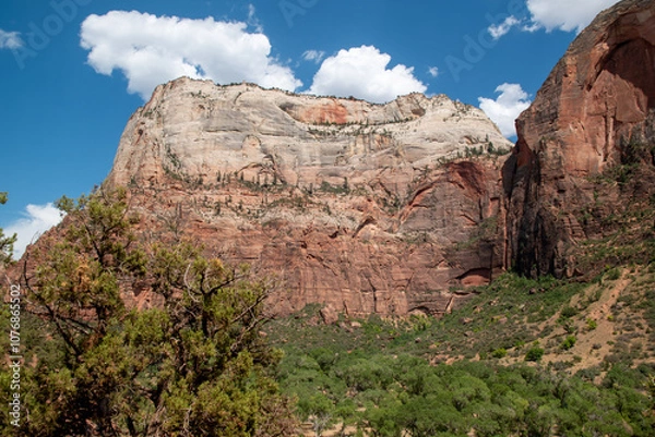 Obraz Zion National Park, view at mountain during Kayenta trail hike
