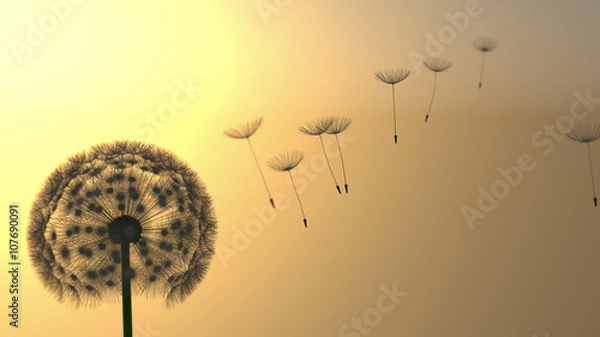 Obraz Pusteblume Silhouette