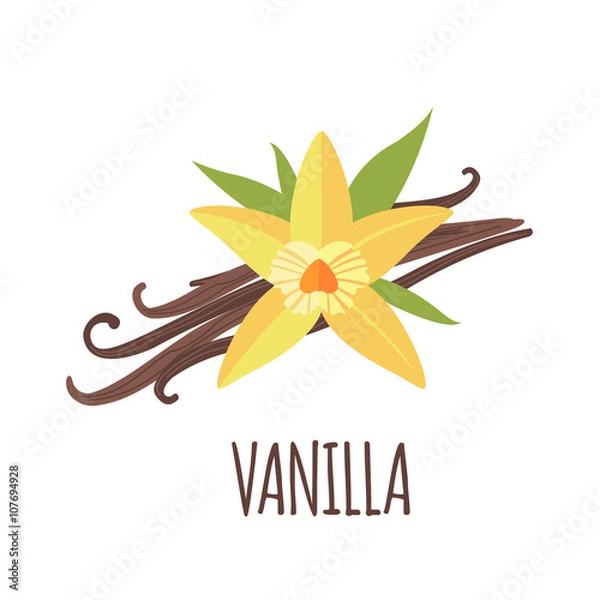 Fototapeta Vanilla icon in flat style on white background
