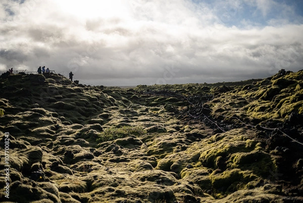 Obraz Mossy Lavafields