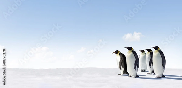 Obraz Pingwiny cesarskie