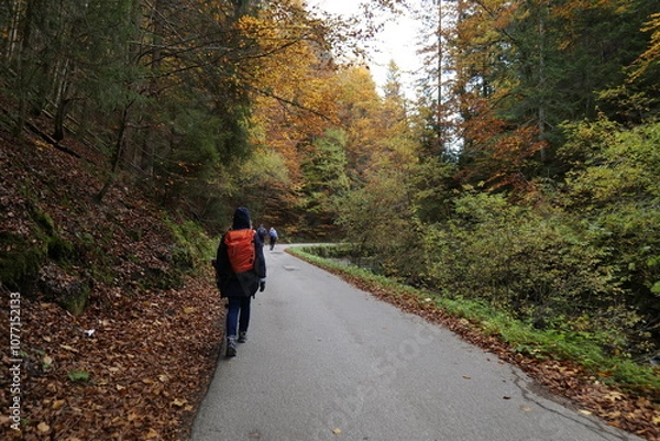 Obraz Jesienny marsz drogą