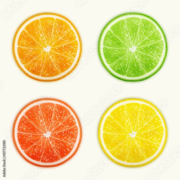 Fototapeta Set of citrus fruits. Orange, Lime, Grapefruit, Lemon.