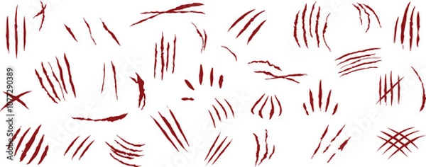 Fototapeta Scratch claws of animal, scratches mark set.
