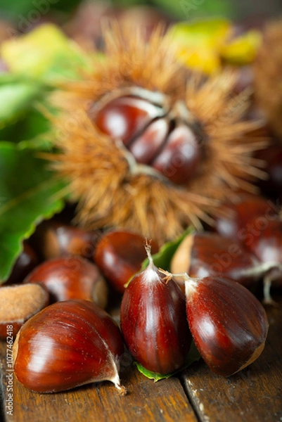 Fototapeta Chestnuts with leaves and burs on a wooden table