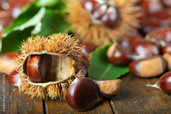 Fototapeta Chestnuts with leaves and burs on a wooden table