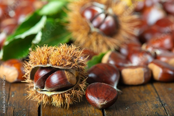 Fototapeta Chestnuts with leaves and burs on a wooden table