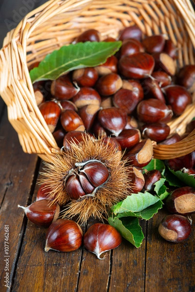 Fototapeta Chestnuts with leaves and burs on a wooden table