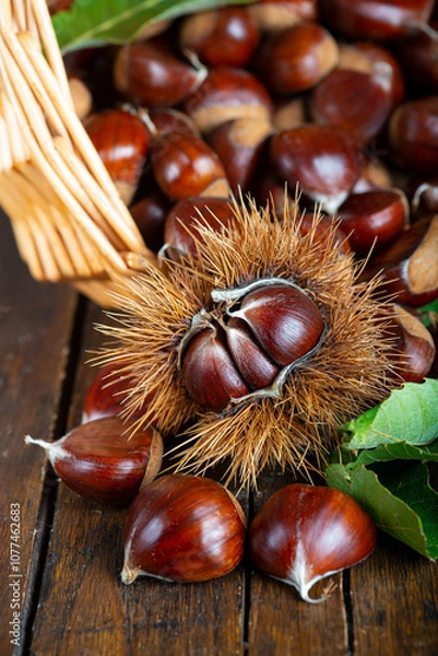 Fototapeta Chestnuts with leaves and burs on a wooden table