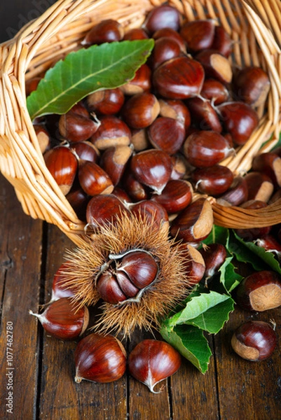 Fototapeta Chestnuts with leaves and burs on a wooden table