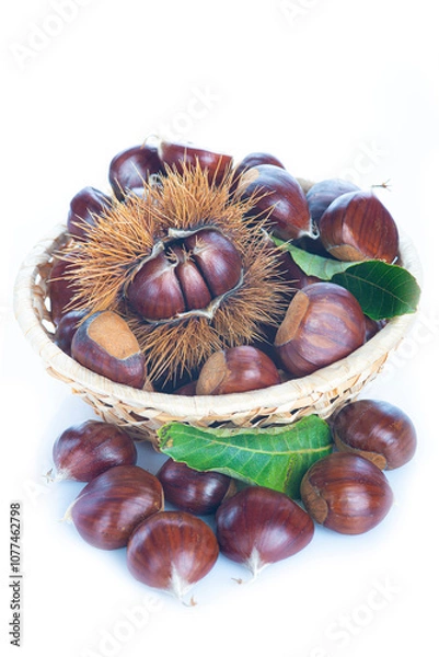 Fototapeta Chestnuts with leaves isolated on a white background
