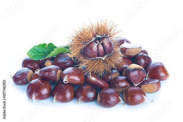 Fototapeta Chestnuts with leaves isolated on a white background
