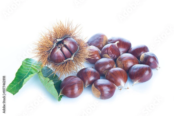 Fototapeta Chestnuts with leaves isolated on a white background
