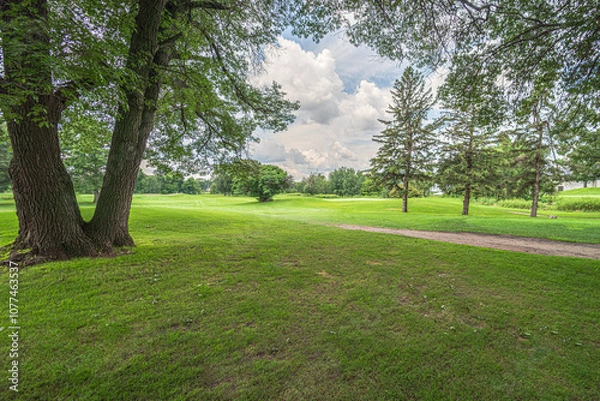 Obraz Park in the summer