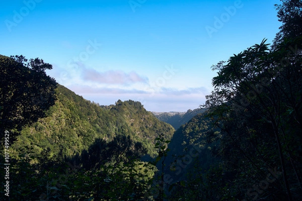 Fototapeta Expansive view of a lush valley under a clear blue sky during the day