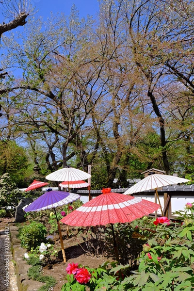 Obraz 日本庭園