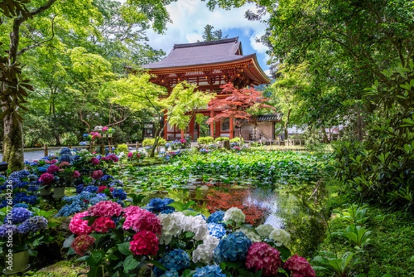 Obraz 女人高野室生寺 仁王門とバン字池の紫陽花　奈良県宇陀市室生