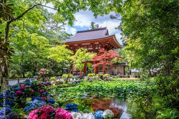 Obraz 女人高野室生寺 仁王門とバン字池の紫陽花　奈良県宇陀市室生