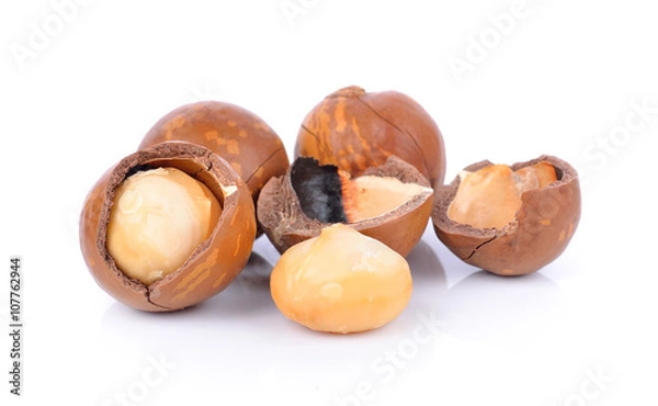 Obraz Macadamia