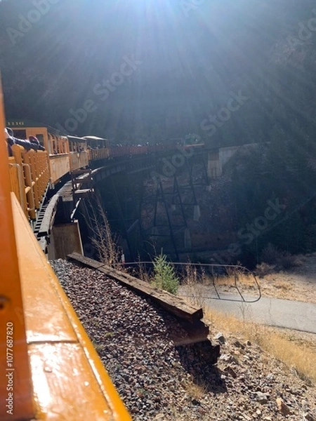 Obraz train on elevated track in the woods