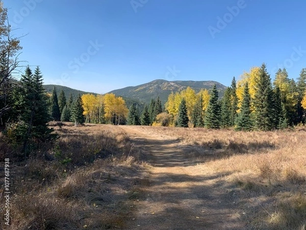 Obraz Falls trees and Mountain View
