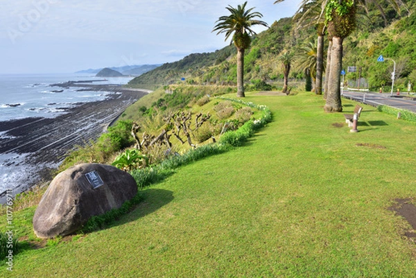 Obraz 日本の道百選・日南フェニックスロード