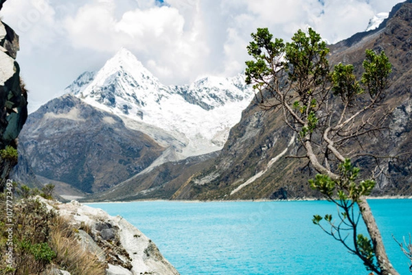Fototapeta Beautiful turquoise lagoon in the Peruvian Andes called Laguna Paron