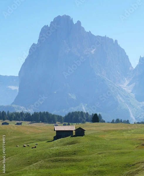Fototapeta Mountain hut landscape with blue sky, bright green grass, summer time in the Dolomites in Italy. Pine trees and Cows