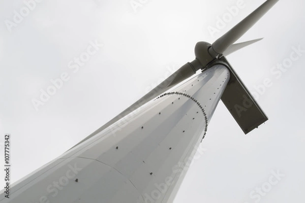Fototapeta wind turbines
