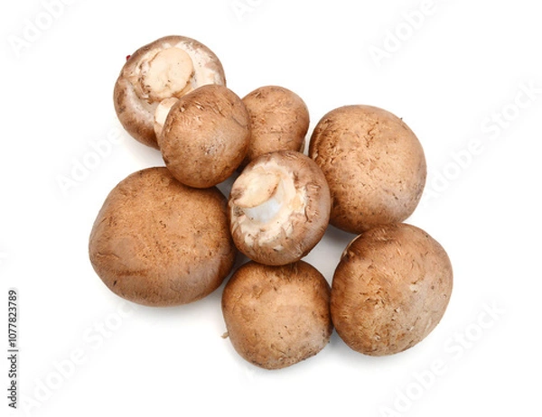 Fototapeta Common mushrooms on white background