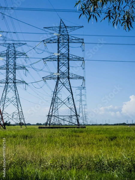 Fototapeta High voltage power lines leading through a green field. Transmission of electricity by means of supports through agricultural areas.