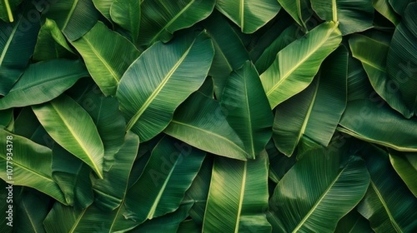 Fototapeta Lush Tropical Green Leaves Seamless Texture for Eco-Friendly Backgrounds