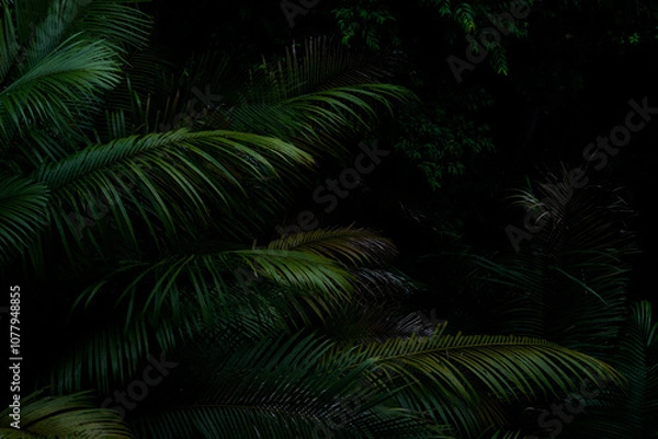 Fototapeta Botanical tropical green forest in asia background concept of ecology and relax, calm, freshness, freedom journey lifestyle use for spa and environmental conservation.