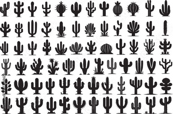 Fototapeta Cactus silhouettes set vector illustrations