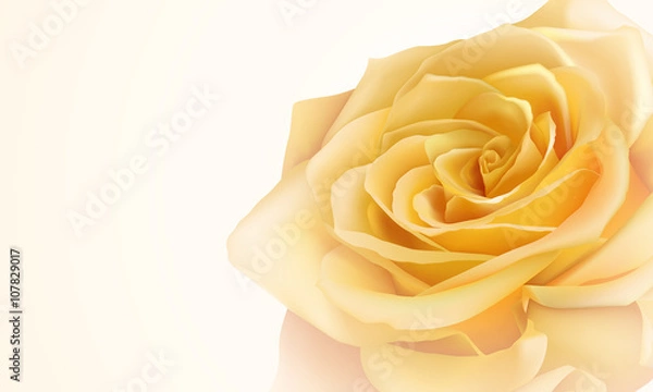 Obraz Realistic yellow rose