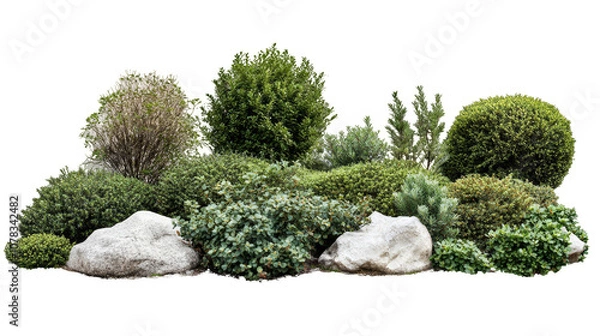 Fototapeta A row of trees with bushes in between