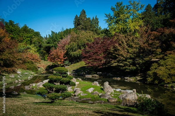 Obraz beautiful Japanese style zen garden ,in autumn ,with pond and rocks ,gardening and landscaping ,hobbies and interests