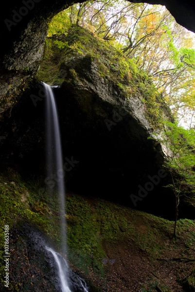 Fototapeta 日本、秋田、銚子の滝