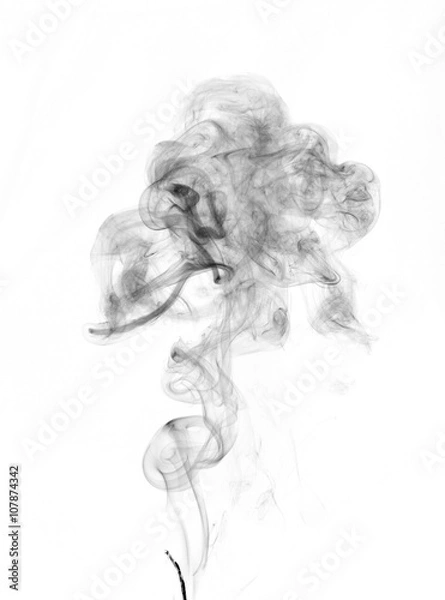 Obraz isolated smoke
