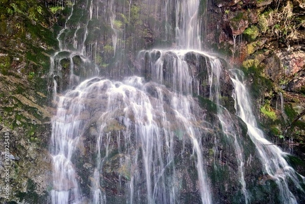 Fototapeta A small spring waterfall on the rocks