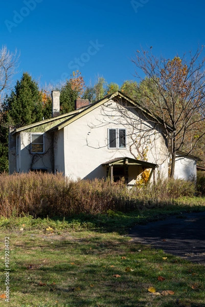Obraz old house in the woods